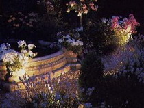 освещение сада. световые эффекты